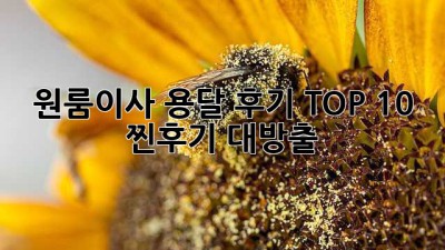 원룸이사 용달 후기 TOP 10 🏆 찐후기 대방출!